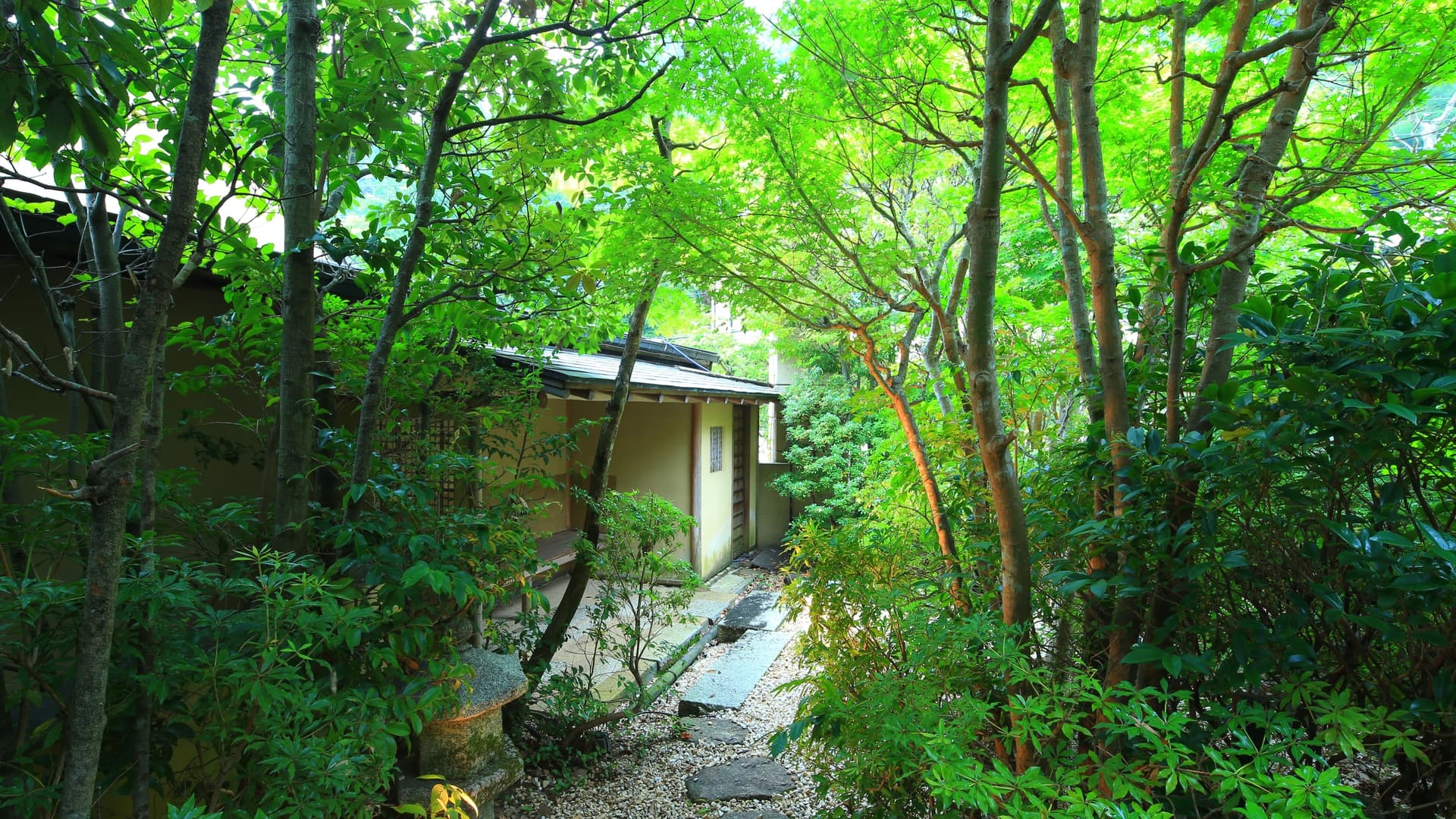 奥湯河原 結唯 -YUI- - 画像 15