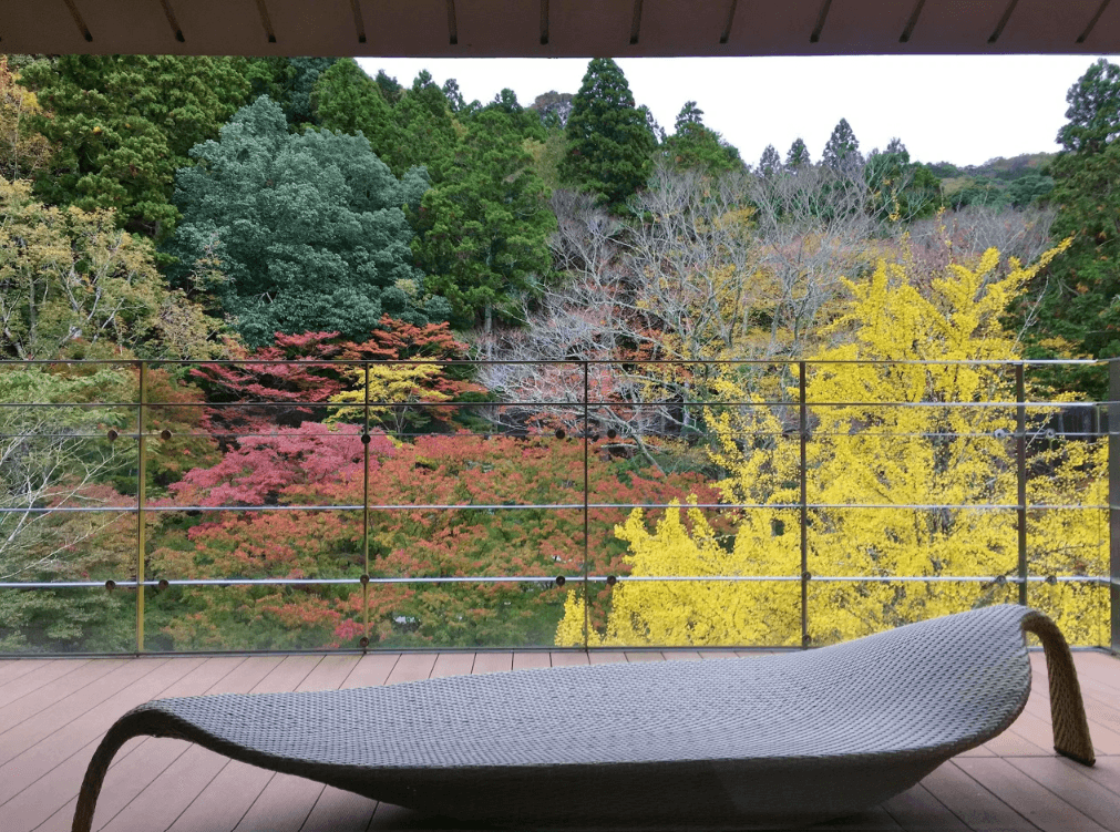 宙 SORA 渡月荘金龍 - 画像 10