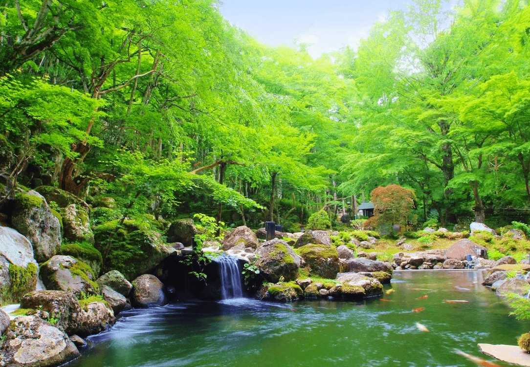 宙 SORA 渡月荘金龍 - 画像 15