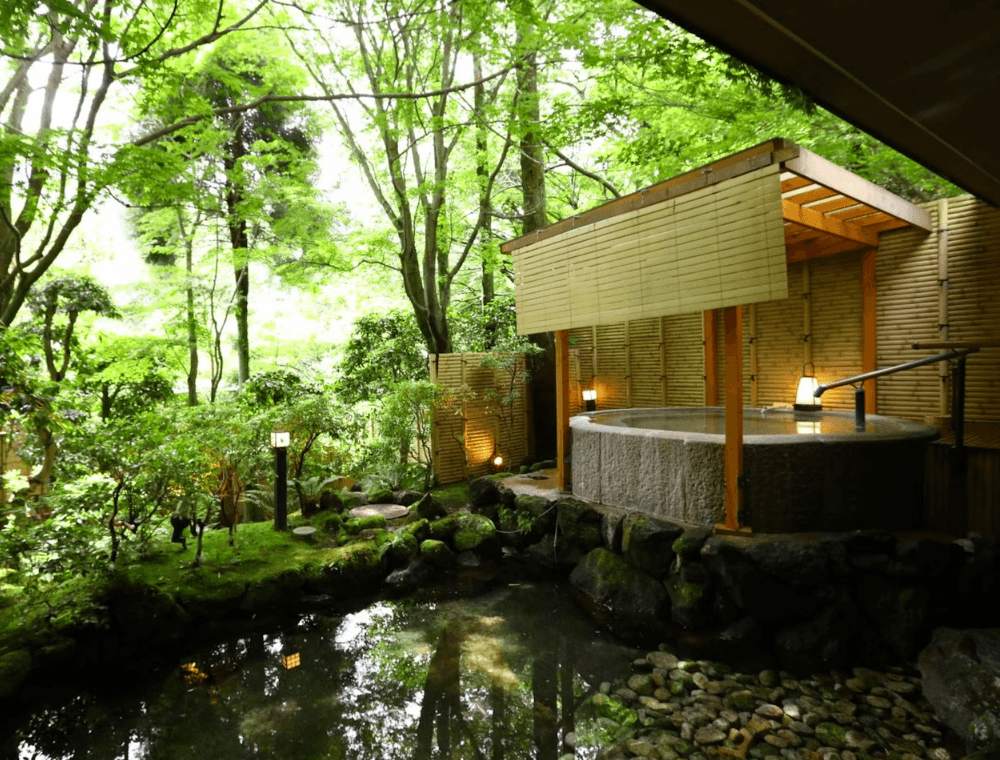 海石榴 つばき - 画像 10