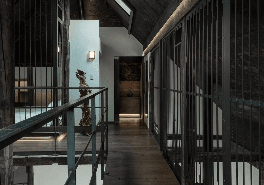 SHIGUCHI - シグチ - 画像 5