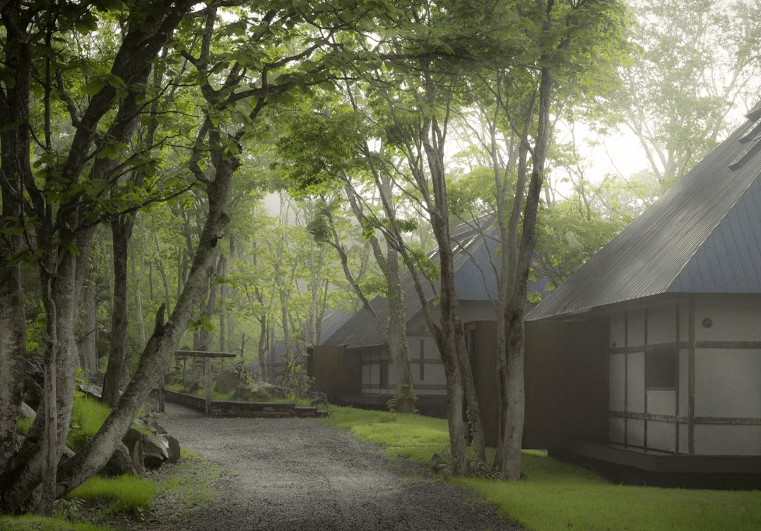 SHIGUCHI - シグチ - 画像 15