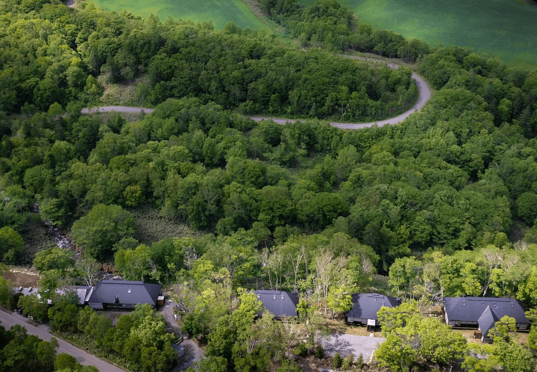 SHIGUCHI - シグチ - 画像 14