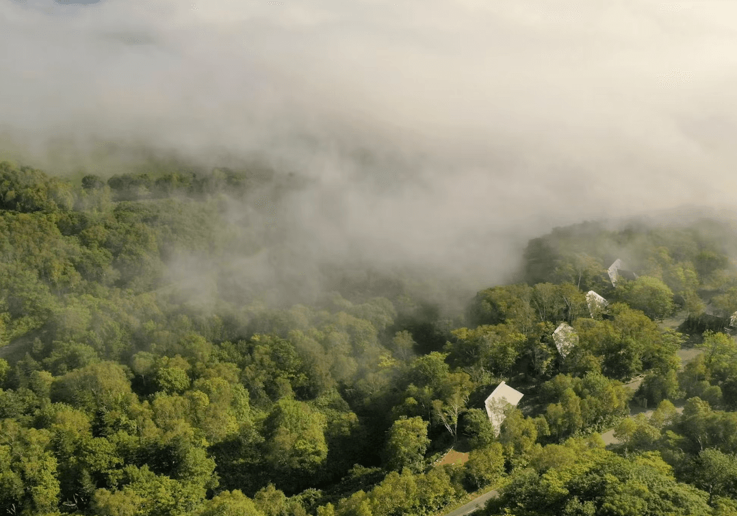 SHIGUCHI - シグチ - 画像 15