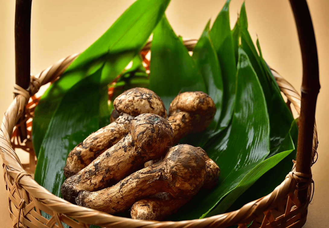 那須別邸 回 - 画像 6