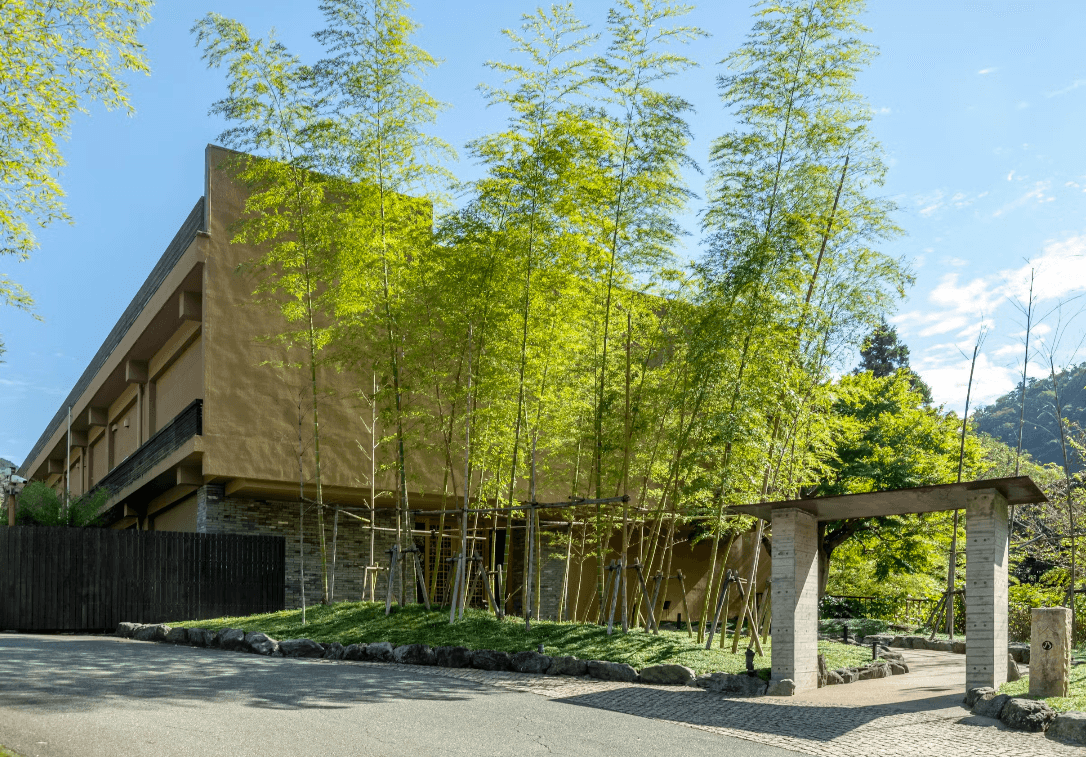 金乃竹 塔ノ澤 - 画像 14