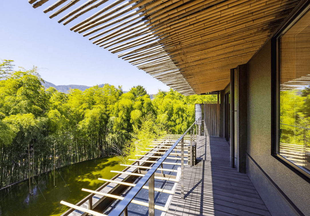 金乃竹 仙石原 - 画像 3