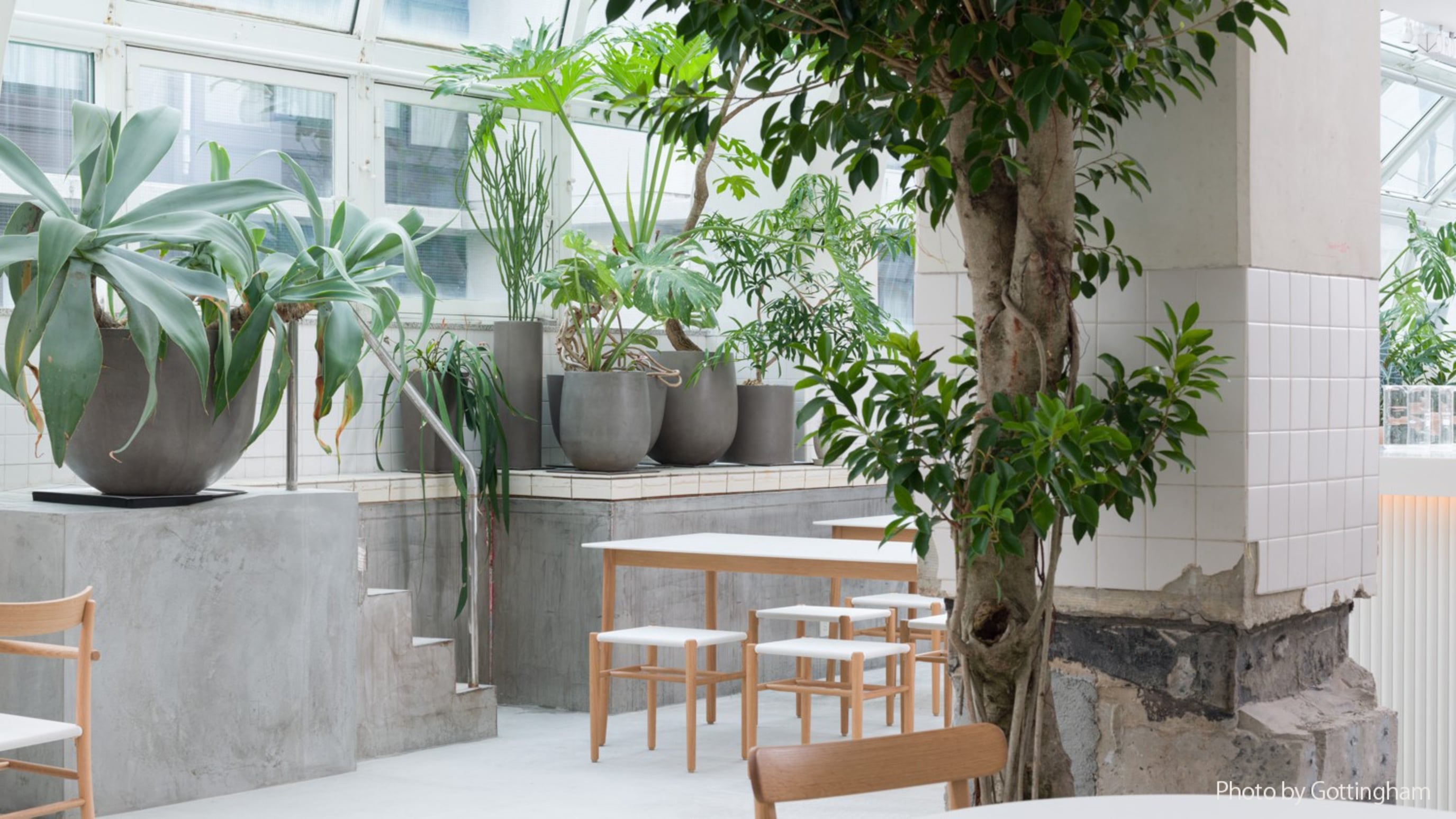 KIRO 広島 - 画像 8