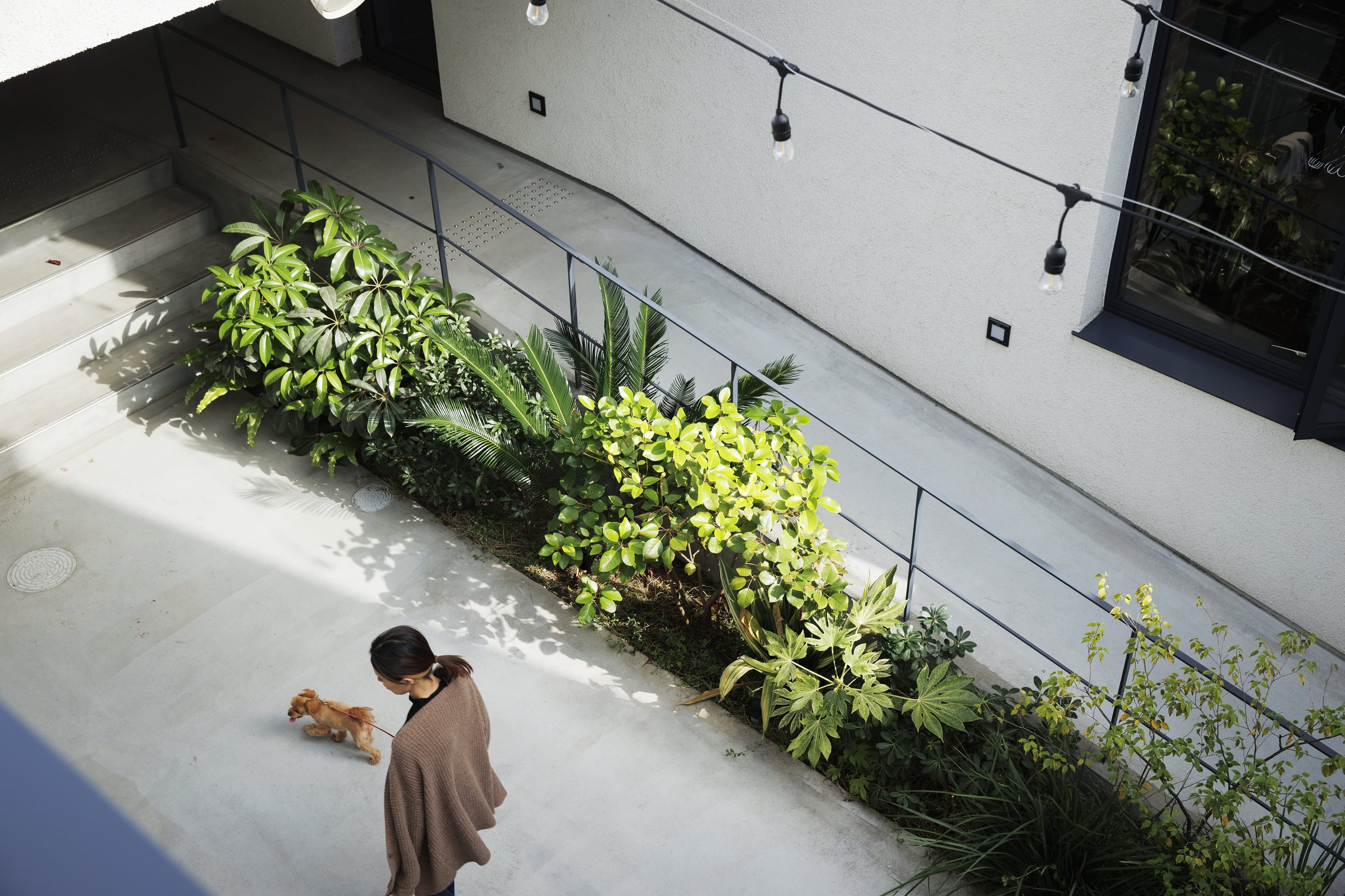 株式会社GREENING - 画像 1