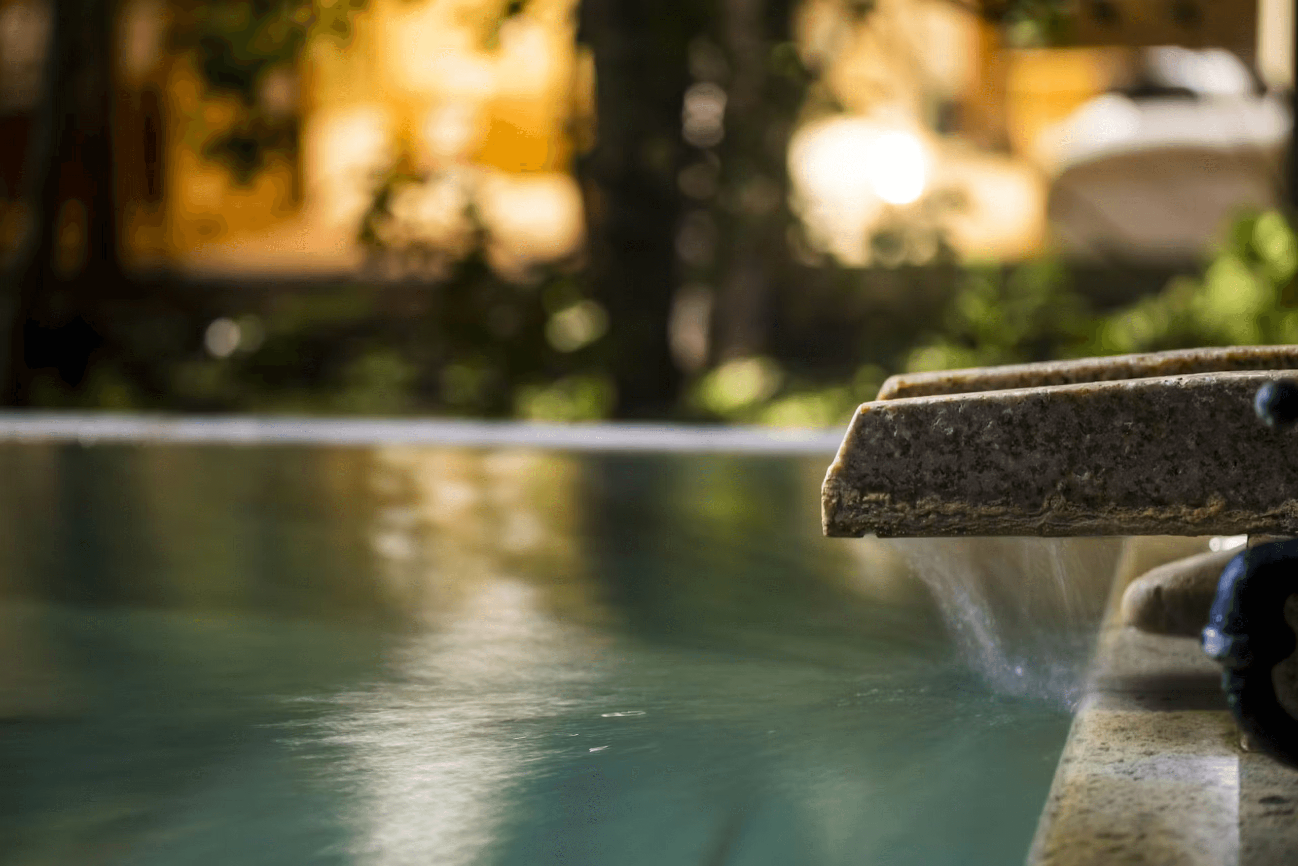 櫻湯 山茱萸 - 画像 4