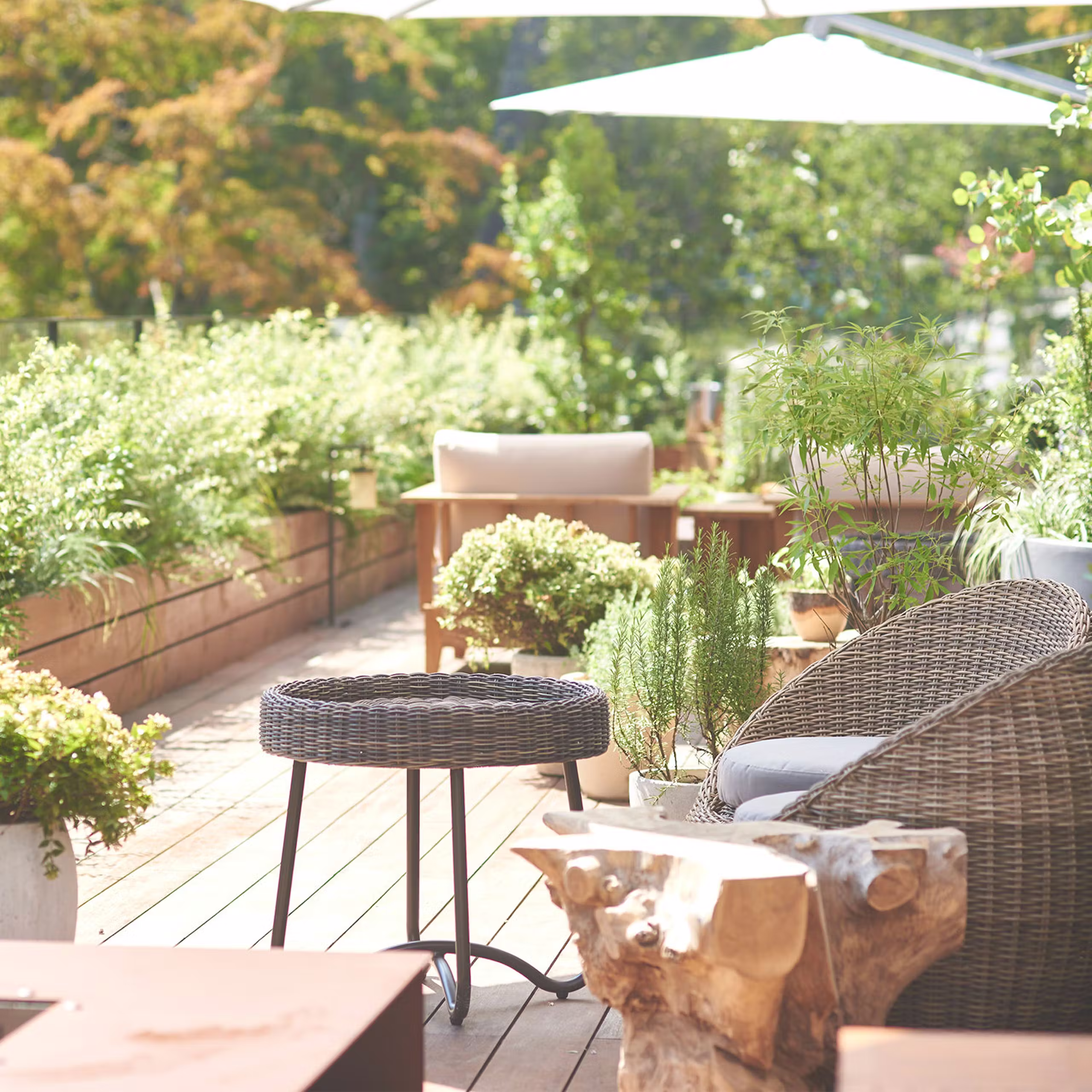 ふふ 河口湖 - 画像 7