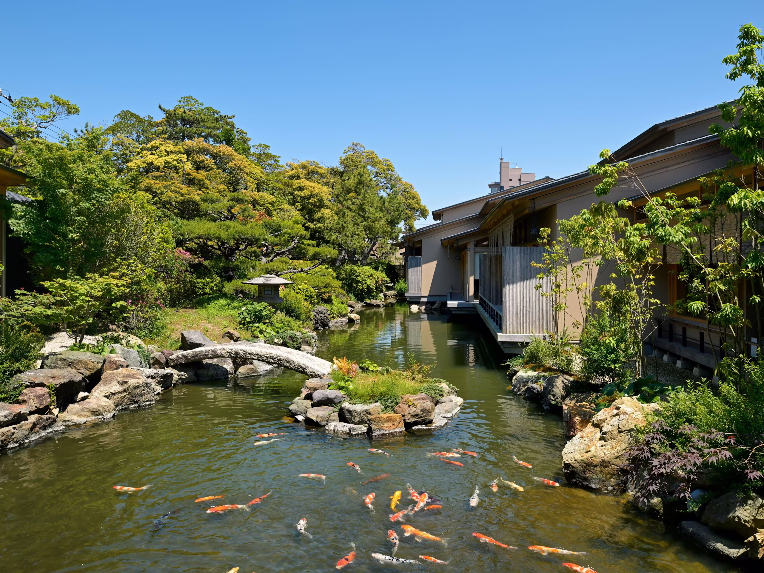 あわら温泉 光風湯圃 べにや - 画像 7